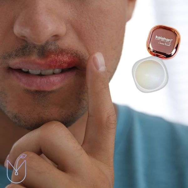 Kalahari Shea Butter Lip Balm Kalahari Shea Butter Lip Balm