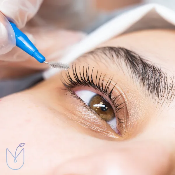 Lash Tint with Booster Lash Tint with Booster